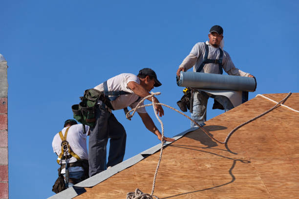 Roof Installation Near Me in Dawson, GA