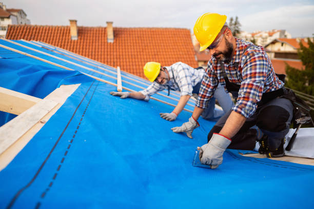 Best Storm Damage Roof Repair  in Dawson, GA